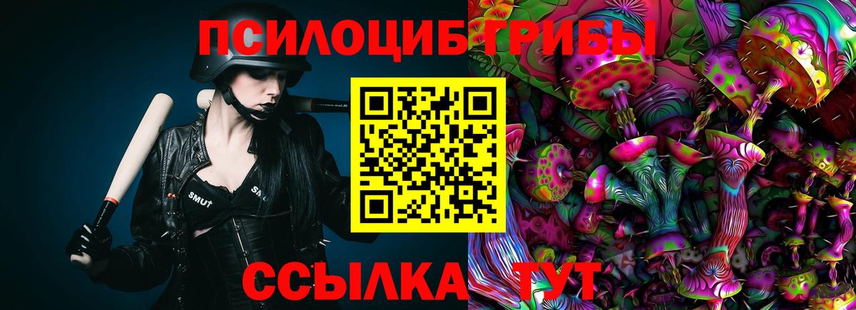 Галлюциногенные грибы Psilocybe Артём