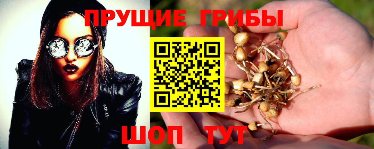 Артём  Галлюциногенные грибы прущие грибы  Вход с VPN 